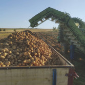 Pěstování brambor | Farma Kala